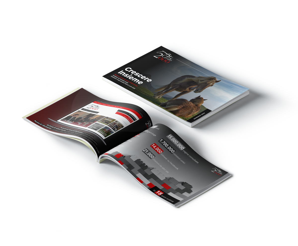 Scarica il Company Profile