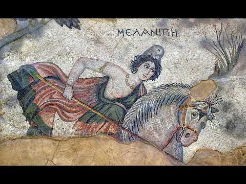 Le Amazzoni tra storia e mito