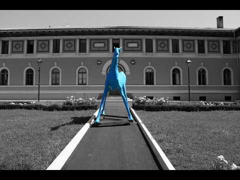 I cavalli bleu